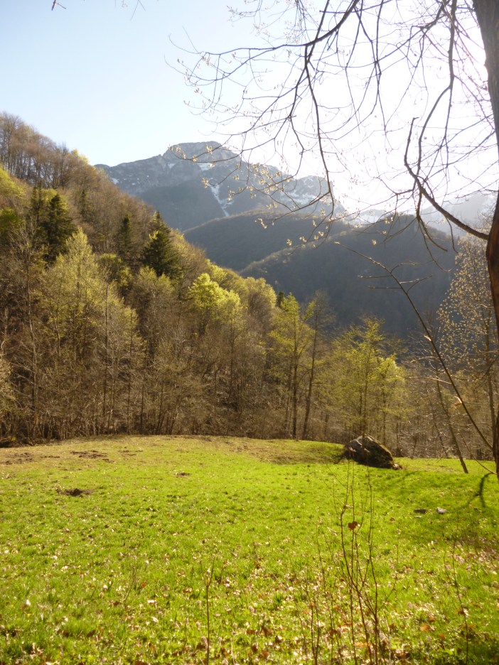 Un'immagine della Valle Pesio, appena fuori le mura del monastero, verso Sud