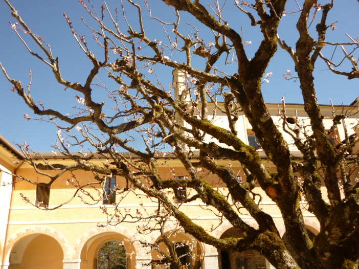 Foto scattata nel chiostro inferiore della Certosa di Santa Maria di Pesio