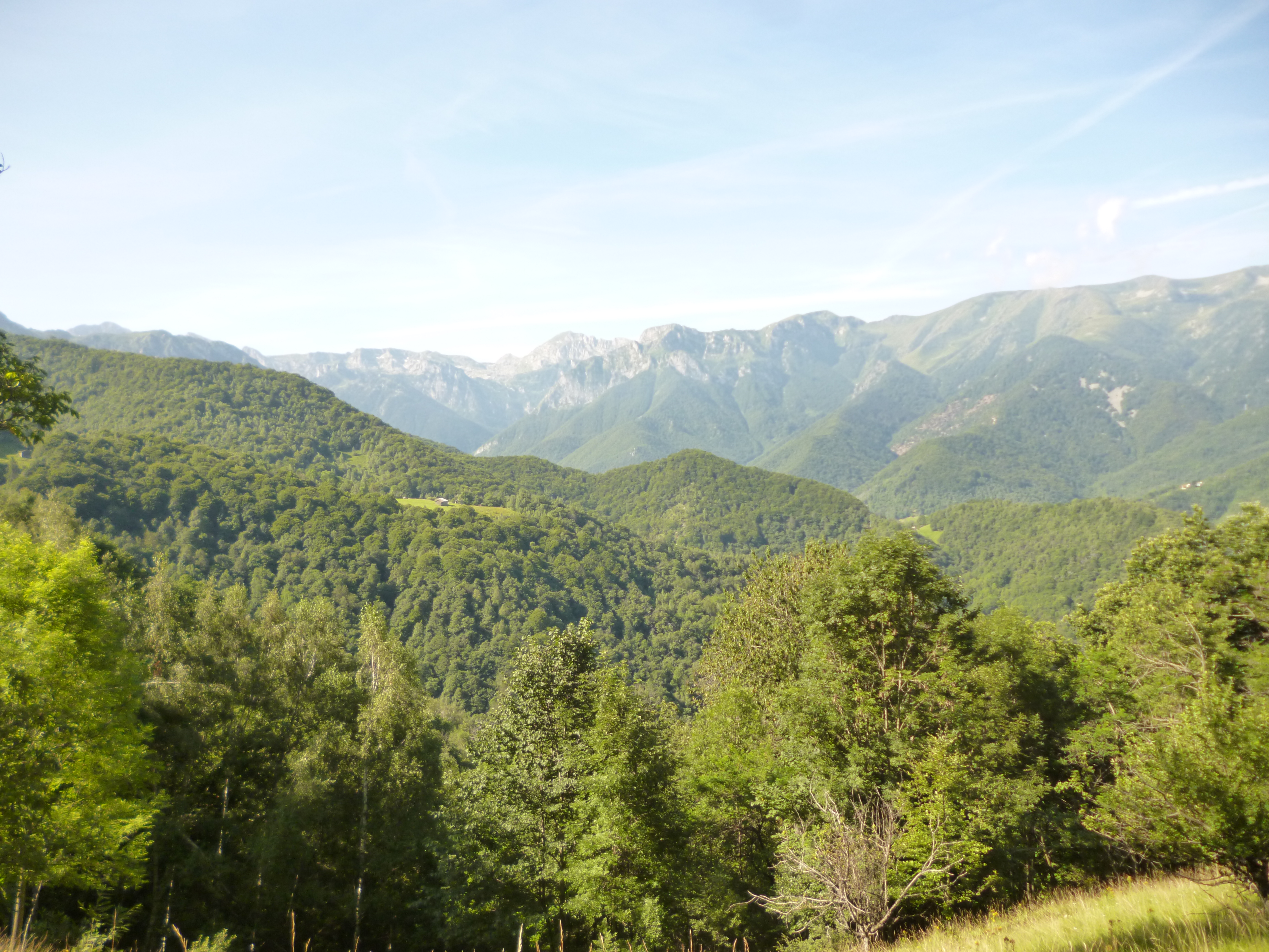 schirfu o più o meno 06082014 (14).JPG