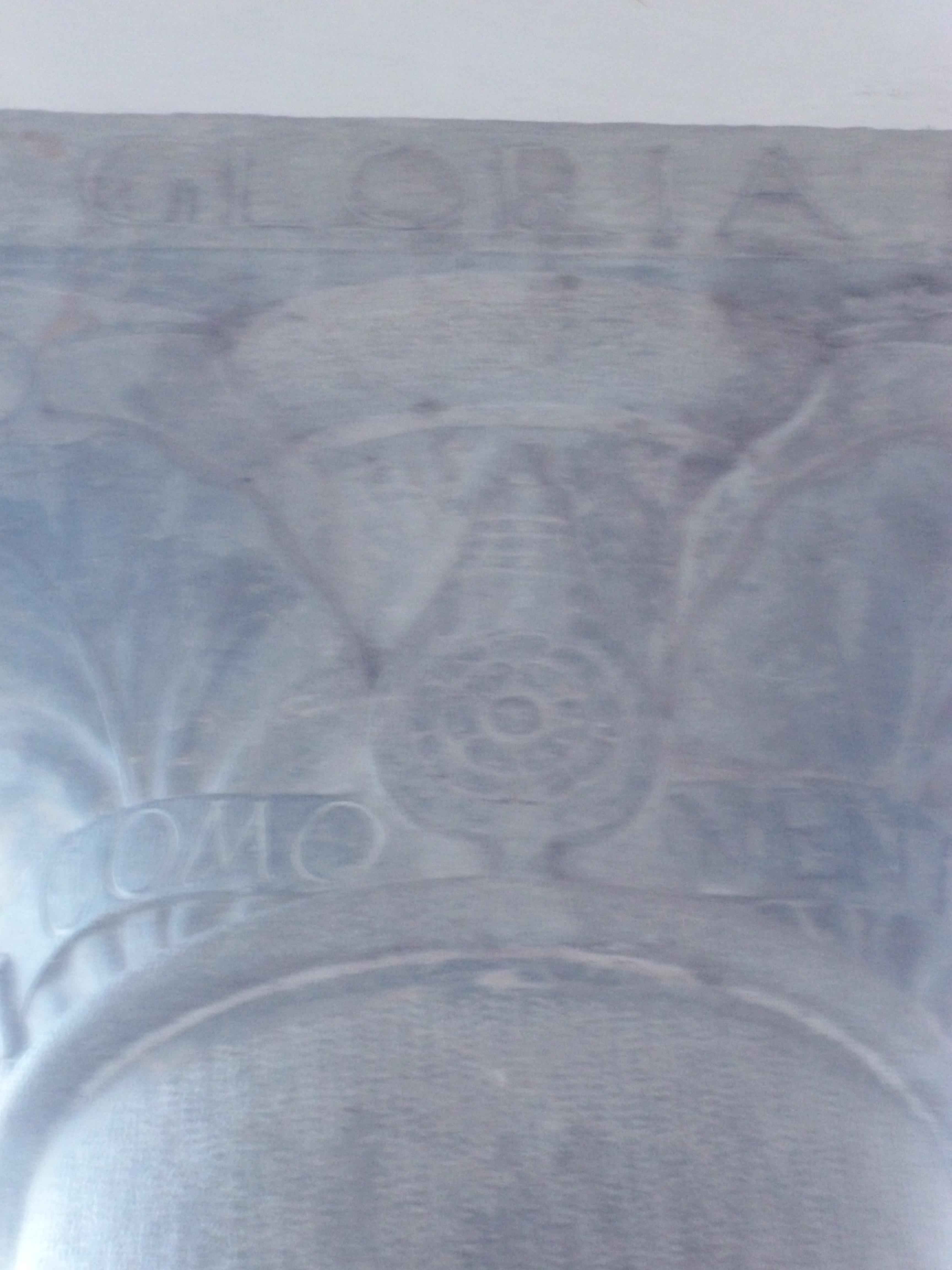 II Cert capitel (18)