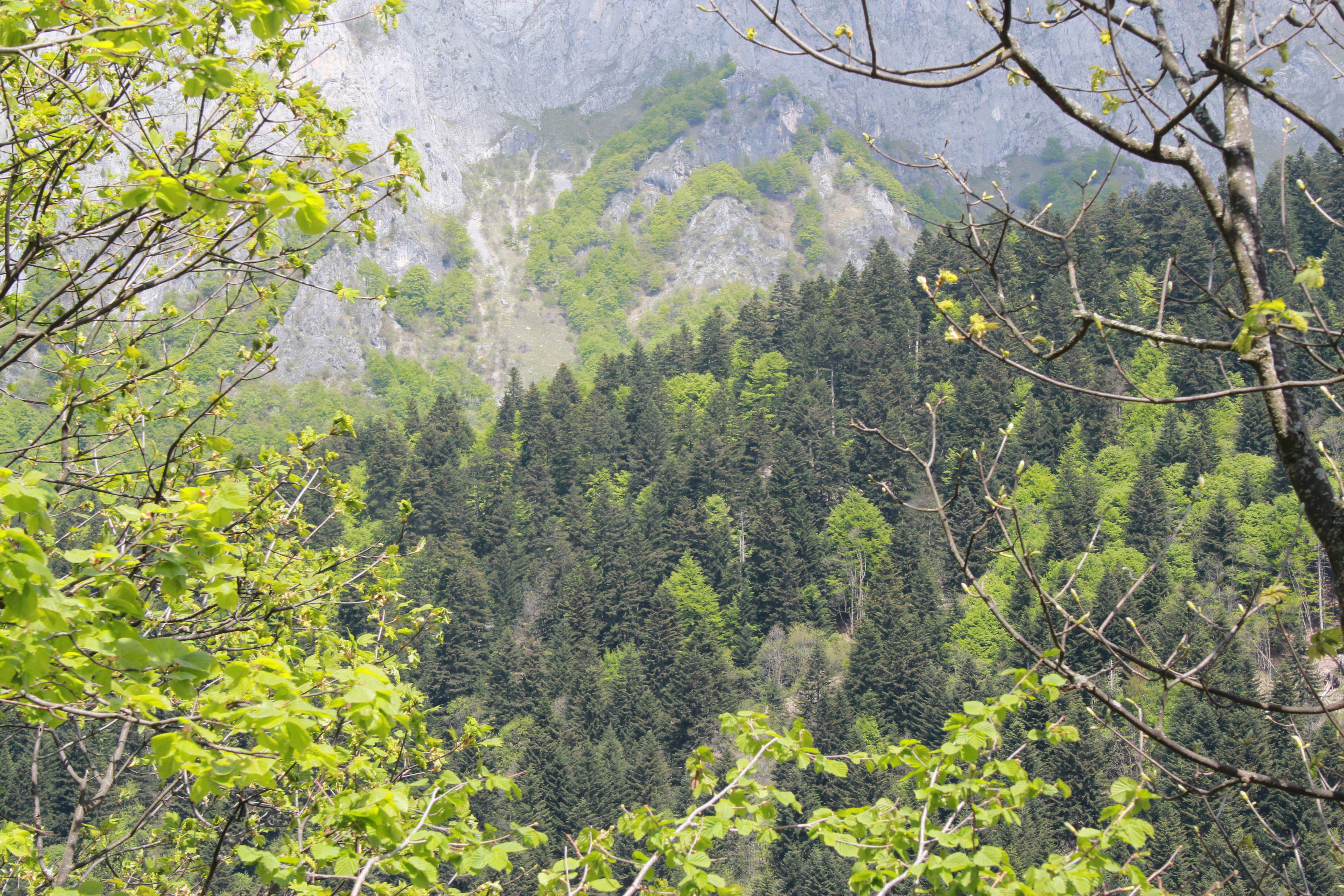 B2F572A6-8FED-4CEE-9B61-0DD5E3BC9F0C